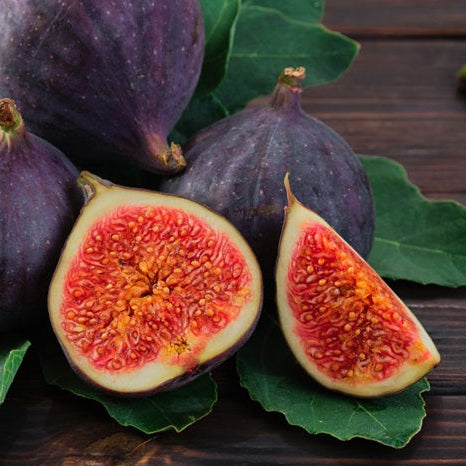 Pomi Fructiferi Speciali Pepiniera Fundulea