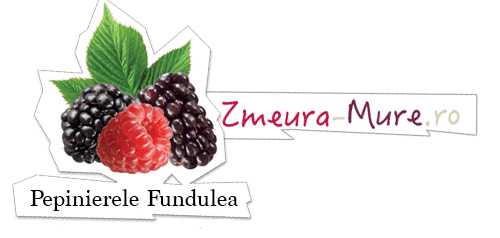 Pepinierele Fundulea - Zmeura si Mure - Fructe de padure delicioase!