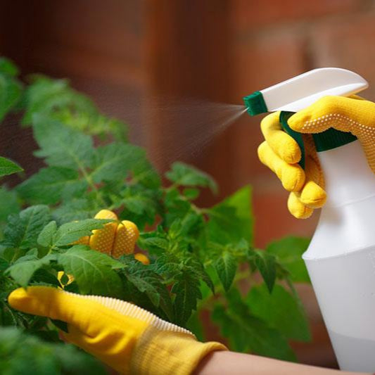 Tratamente plante 
