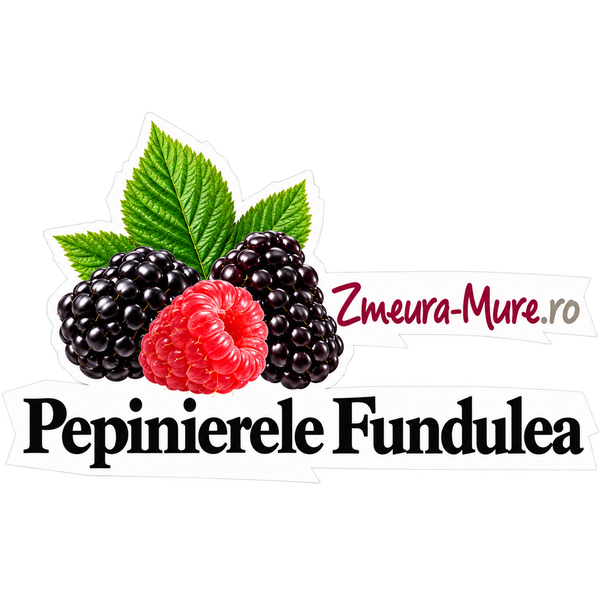 Pepinierele Fundulea - Zmeura si Mure - Fructe de padure delicioase!